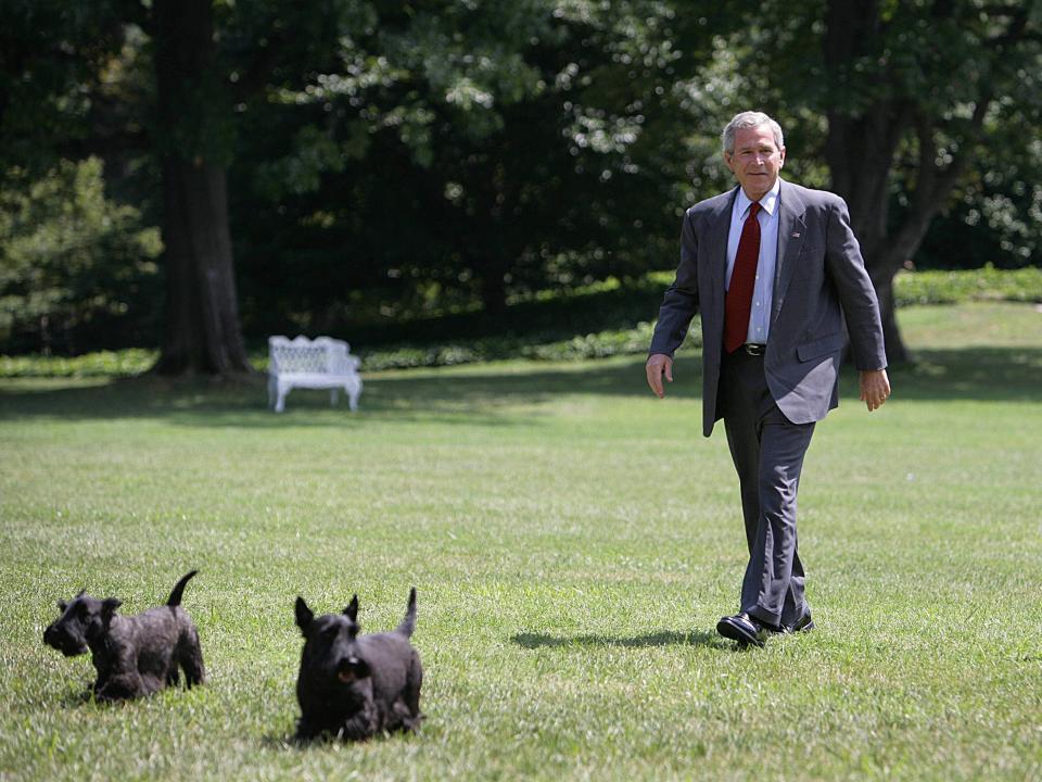 George W. Bush dogs