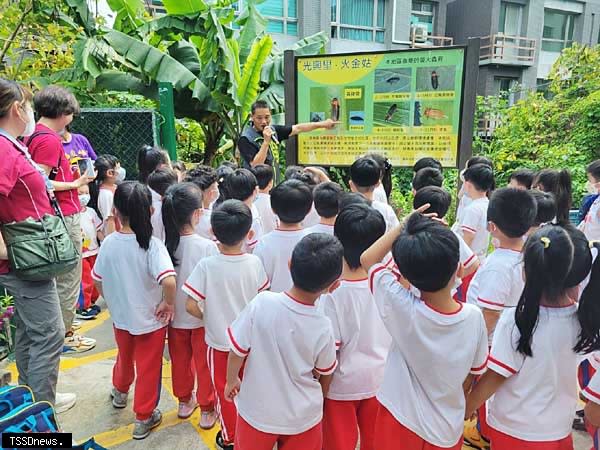 樹林區光興里「蛙鳴螢飛」賞螢四月十日起開放報名，幼兒園師生搶先體驗。（圖：樹林區公所提供）