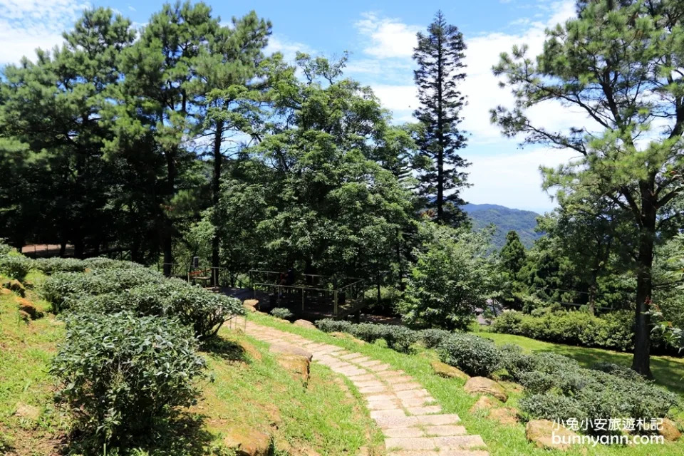 三峽熊空茶園