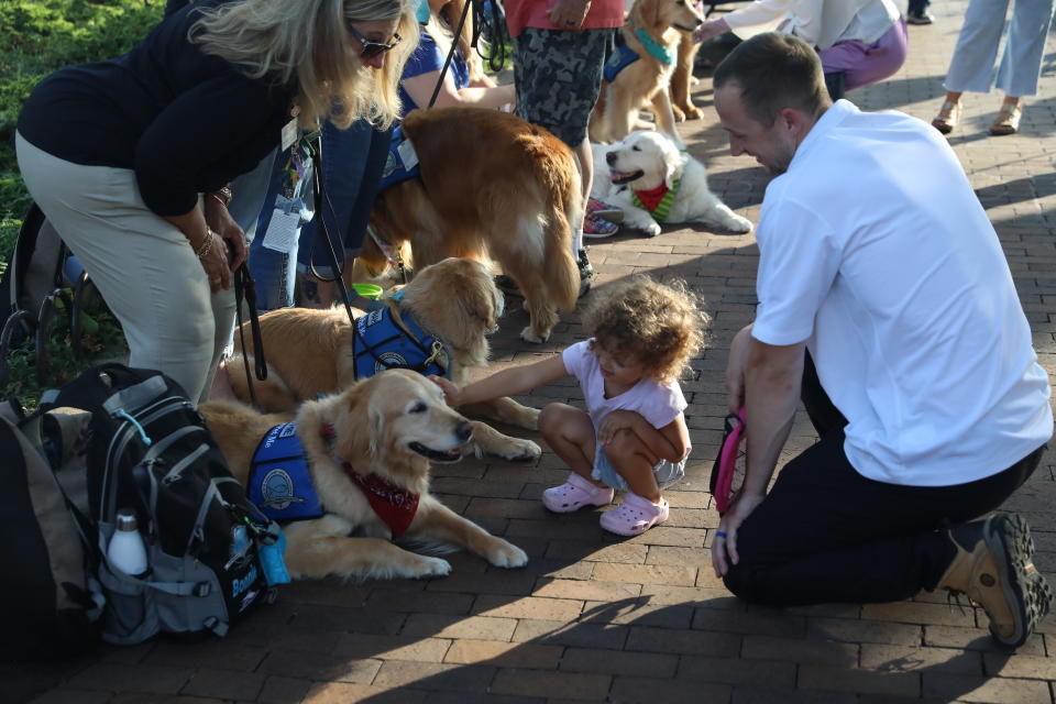 Parents and their children meet with LCC K-9 comfort dogs, all golden retrievers, at a park.