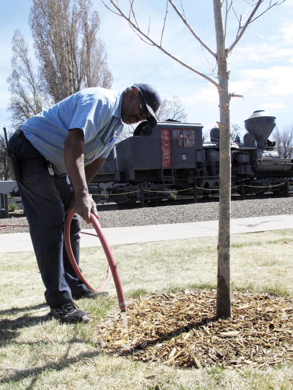 In this April 11, 2014 photo, Richard Booker, a maintenance man with the Grand Canyon Railway, uses harvested water to water trees outside a hotel in Williams, Ariz. Officials in Williams have declared a water crisis amid a drought that is quickly drying up nearby reservoirs and forcing the community to pump its only two wells to capacity. (AP Photo)