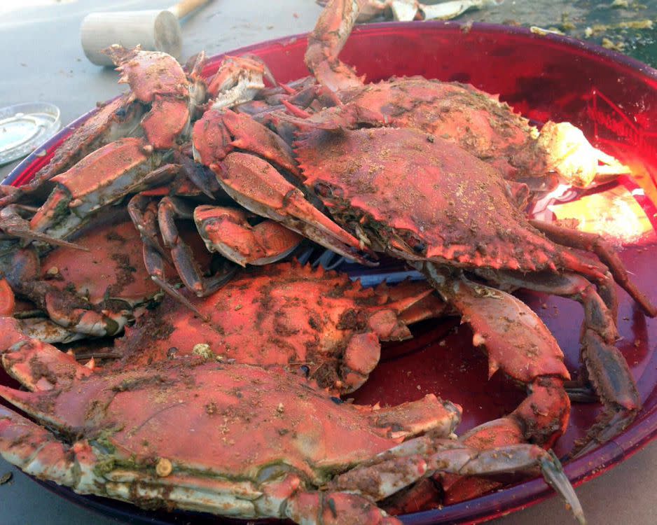 Captain Chris' Crab Shack in North East, Maryland