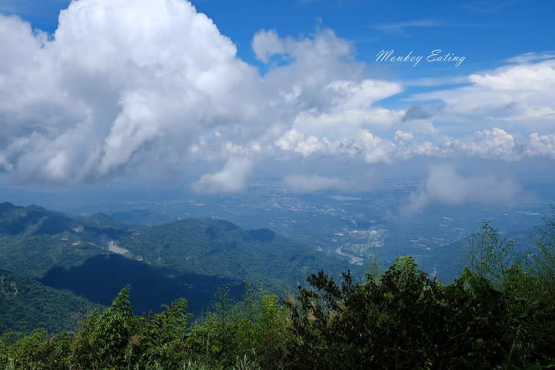 嘉義阿里山｜二延平步道