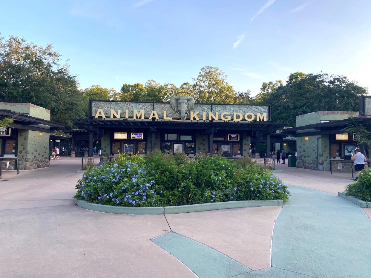 The entrance to Disney World's Animal Kingdom theme park.