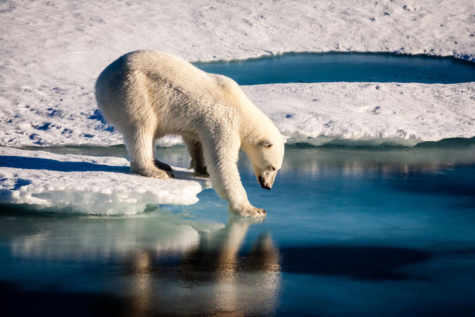 Oklahoma science textbooks may not cover climate change. (Photo: Getty Images)