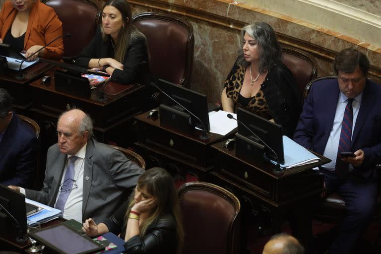 Sesión en el Senado por el presupuesto 2023 y el decreto que pone en funcionamiento a los nuevos integrantes del Consejo de la Magistratura