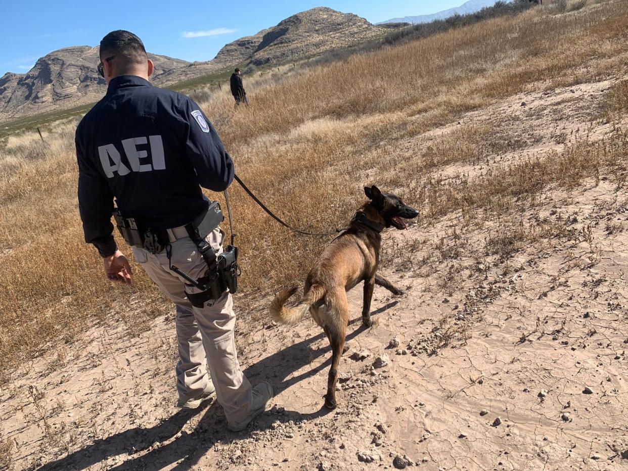 A search dog and agents with the Chihuahua State Investigations Agency conduct a search for missing persons in the desert in this file photo from 2022.