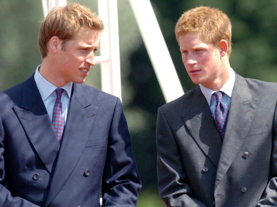 Harry and William 2004