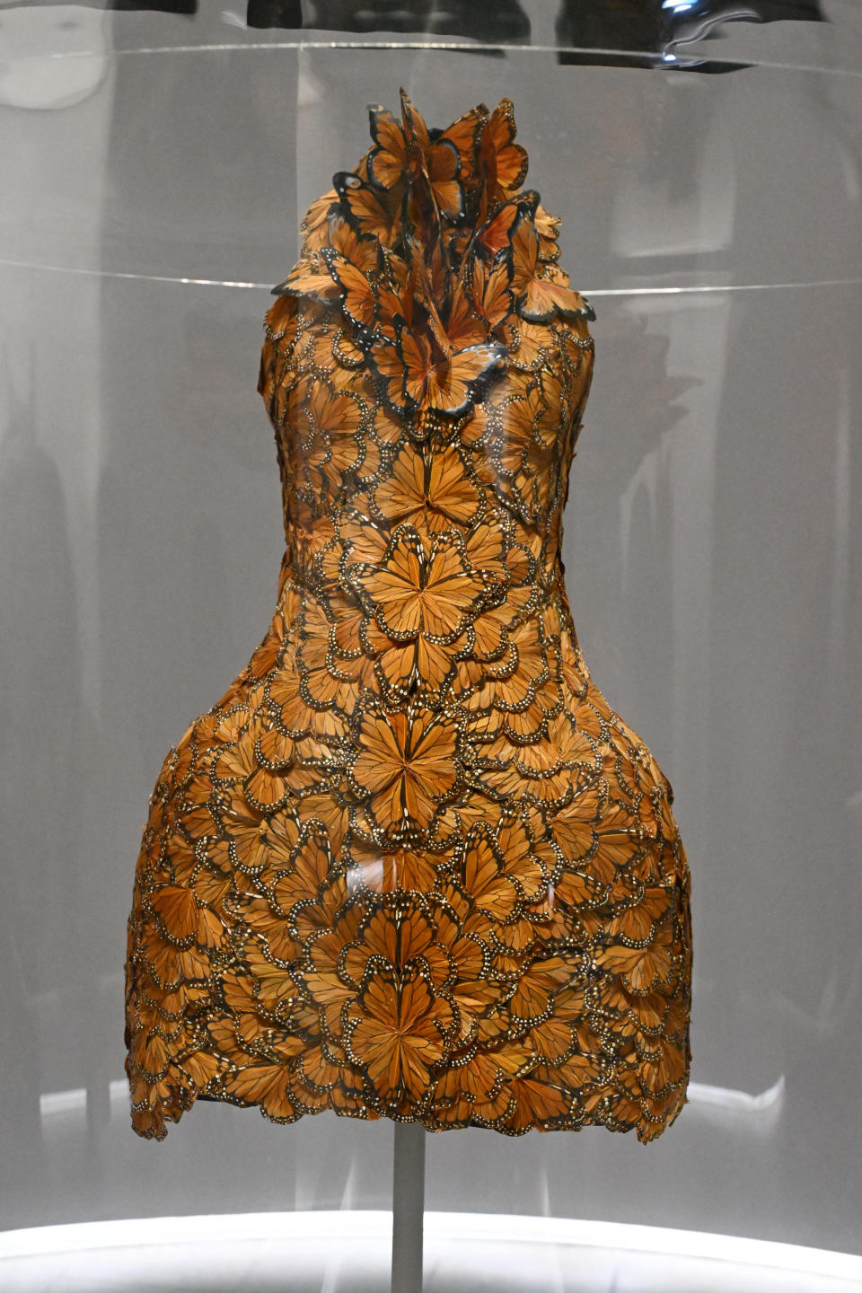 Elegant sleeveless dress on display with intricate butterfly pattern design