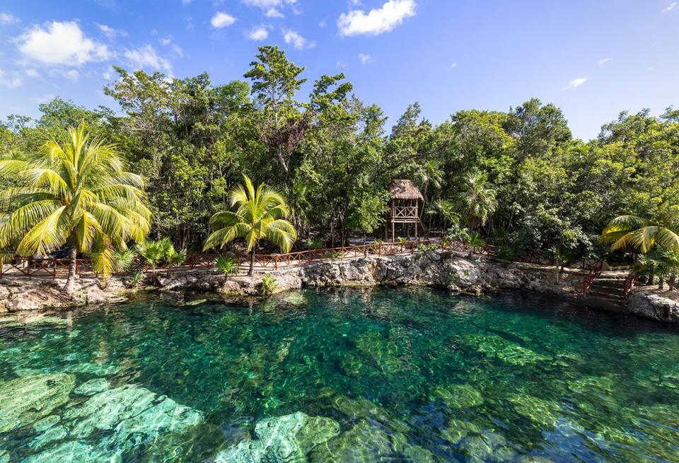 mexico tourism destination, gran cenote in tulum