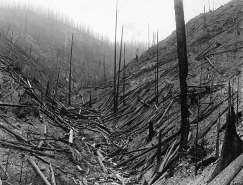 Image: View of area where men lost their lives in the fires. (R.H. McKay / U.S. Forest Service file)
