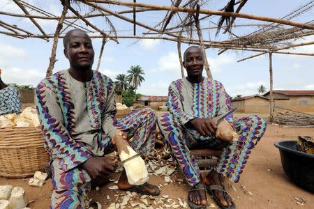 Twins Kehinde and Taiwo Aderogba peel cassava tuber at a processing centre in Igbo Ora town, Oyo State, Nigeria April 4, 2019. Picture taken April 4, 2019. REUTERS/Afolabi Sotunde