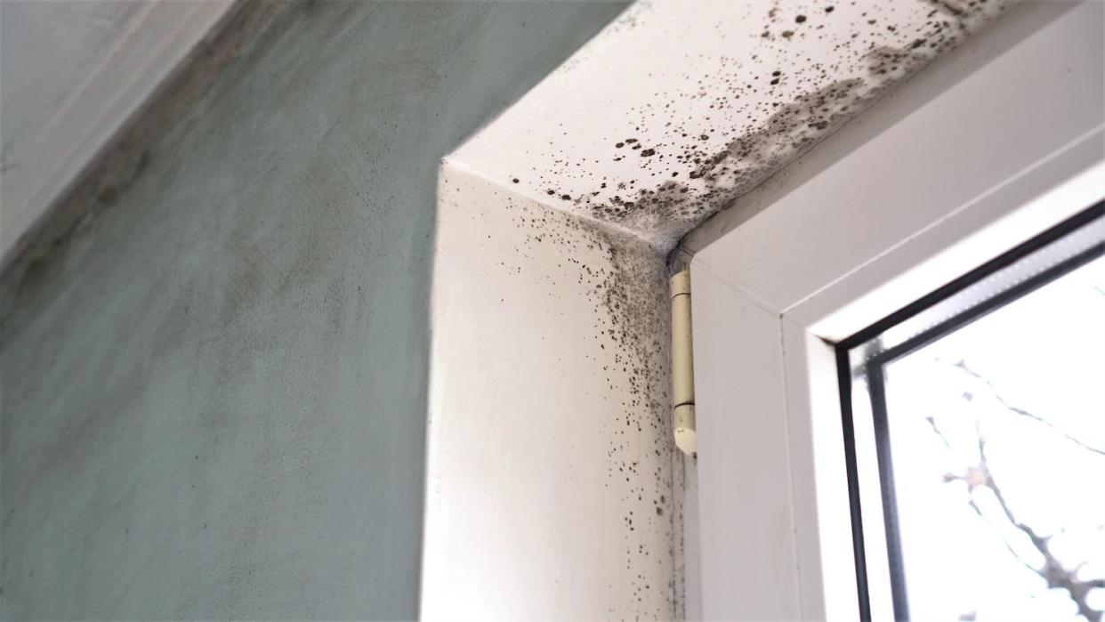 mold on door frame