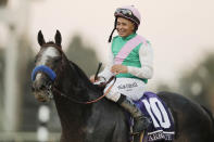 FILE - In this Nov. 5, 2016, file photo, jockey Mike Smith celebrates after riding Arrogate to victory in the Breeders' Cup Classic horse race at Santa Anita Park in Arcadia, Calif. Arrogate, North America's all-time money earner, has died. He was seven. Juddmonte Farms in Lexington, Ky., said Arrogate was euthanized on Tuesday, June 2, 2020, after becoming ill. (AP Photo/Jae C. Hong, File)