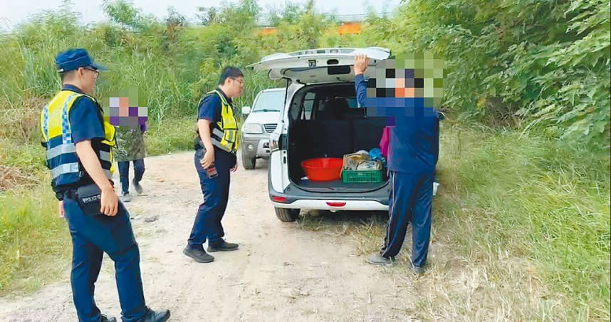 一群來自台東的原住民，20日休假相約到苗栗市龜山大橋附近後龍溪撒網捕撈吳郭魚打牙祭，卻引來警方依《漁業法》查辦，原來後龍溪屬保育河川，只能用釣竿釣，不能用漁網，這群原住民無奈只能接受罰款處分。（圖／讀者提供／謝明俊苗栗傳真）