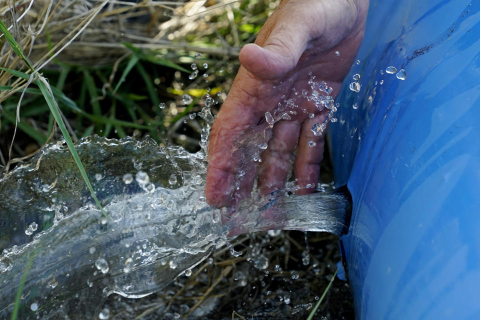 Sugarcane farmer Sam Simmons at his ranch in San Benito, Texas, Wednesday, Sept. 15, 2021. Earlier this year, before rain soaked the Rio Grande Valley in May and June, several sugarcane farmers in Irrigation District #2 were told they could only be provided one delivery of water — far less than what the thirsty crop requires. (AP Photo/Eric Gay)