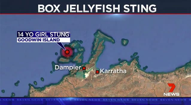 The girl was stung off the WA coast. Source: 7 News