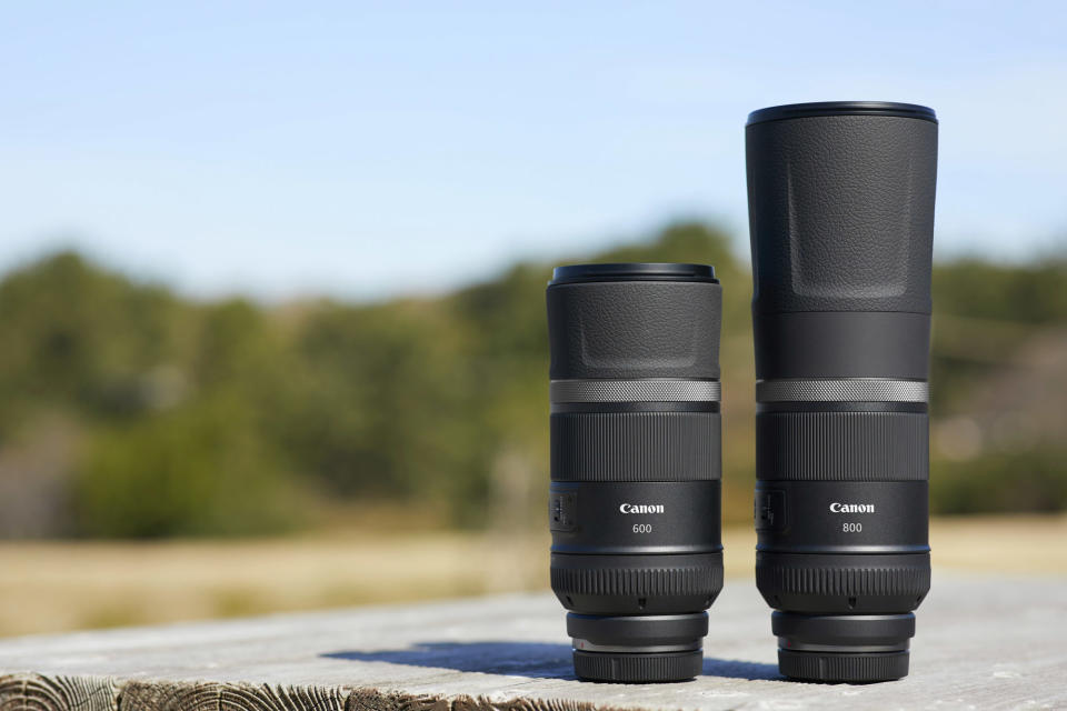 Canon RF 800mm F11 and RF 600mm on an outdoor bench