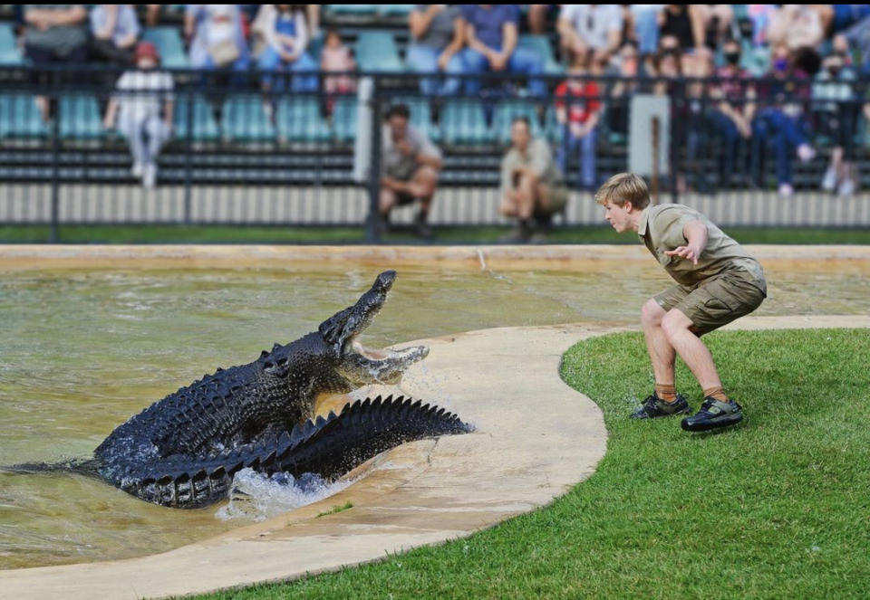 Robert Irwin and a crocodile at Australia Zoo