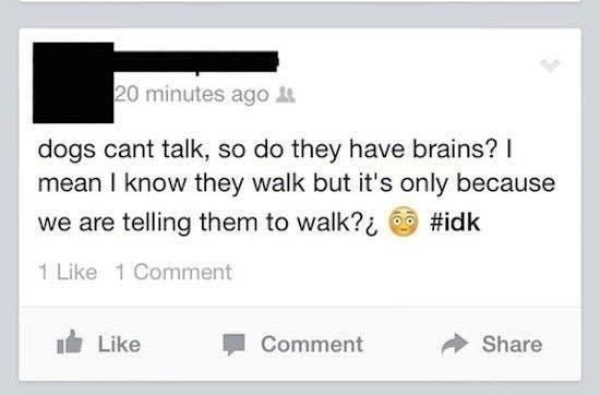 facebook post of a person saying dogs can't talk to they don't have brains