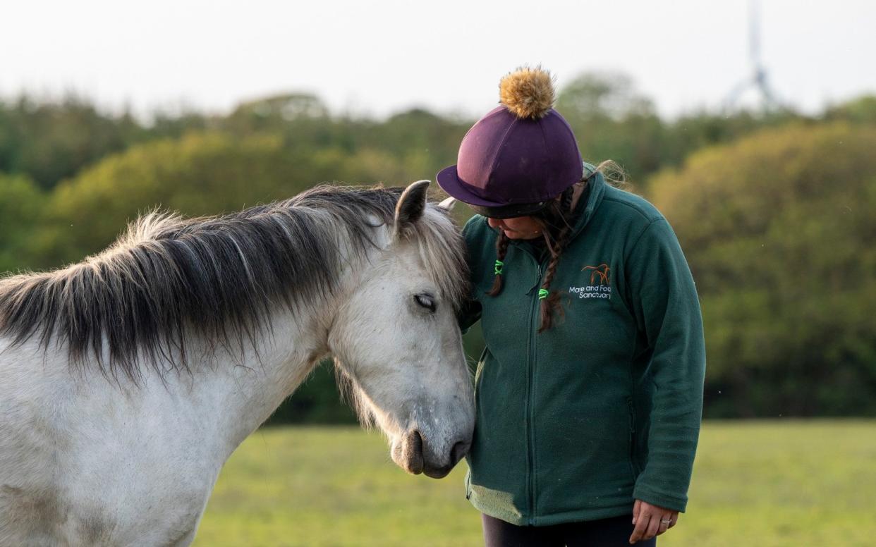 The Mare and Foal Sanctuary