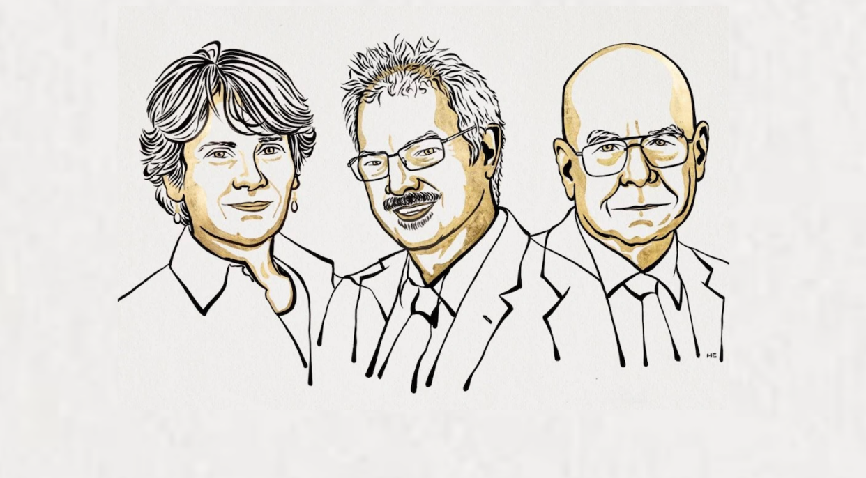 Carolyn R. Bertozzi, Morten Meldal y K. Barry Sharpless <a href="https://www.nobelprize.org/prizes/chemistry/" rel="nofollow noopener" target="_blank" data-ylk="slk:Ill. Niklas Elmehed © Nobel Prize Outreach;elm:context_link;itc:0;sec:content-canvas" class="link ">Ill. Niklas Elmehed © Nobel Prize Outreach</a>