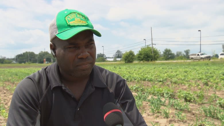 Bad weather forces Ottawa-area farm to send temporary workers south