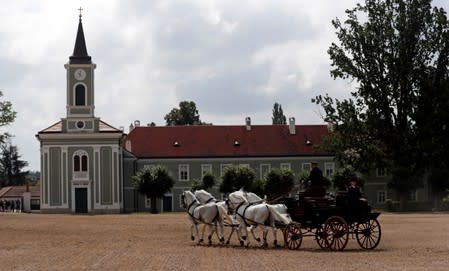 An employee of The National Stud Kladruby nad Labem rides a carriage in the town of Kladruby nad Labem