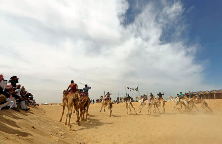 Jockeys, most of whom are children, compete on their mounts during the 18th International Camel Racing festival at the Sarabium desert in Ismailia, Egypt, March 12, 2019. Picture taken March 12, 2019. REUTERS/Amr Abdallah Dalsh