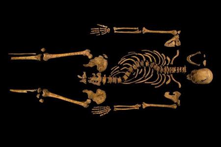 The skeleton of Richard III, which was discovered at the Grey Friars excavation site in Leicester, central England, is seen in this photograph provided by the University of Leicester and received in London on February 4, 2013. REUTERS/University of Leicester