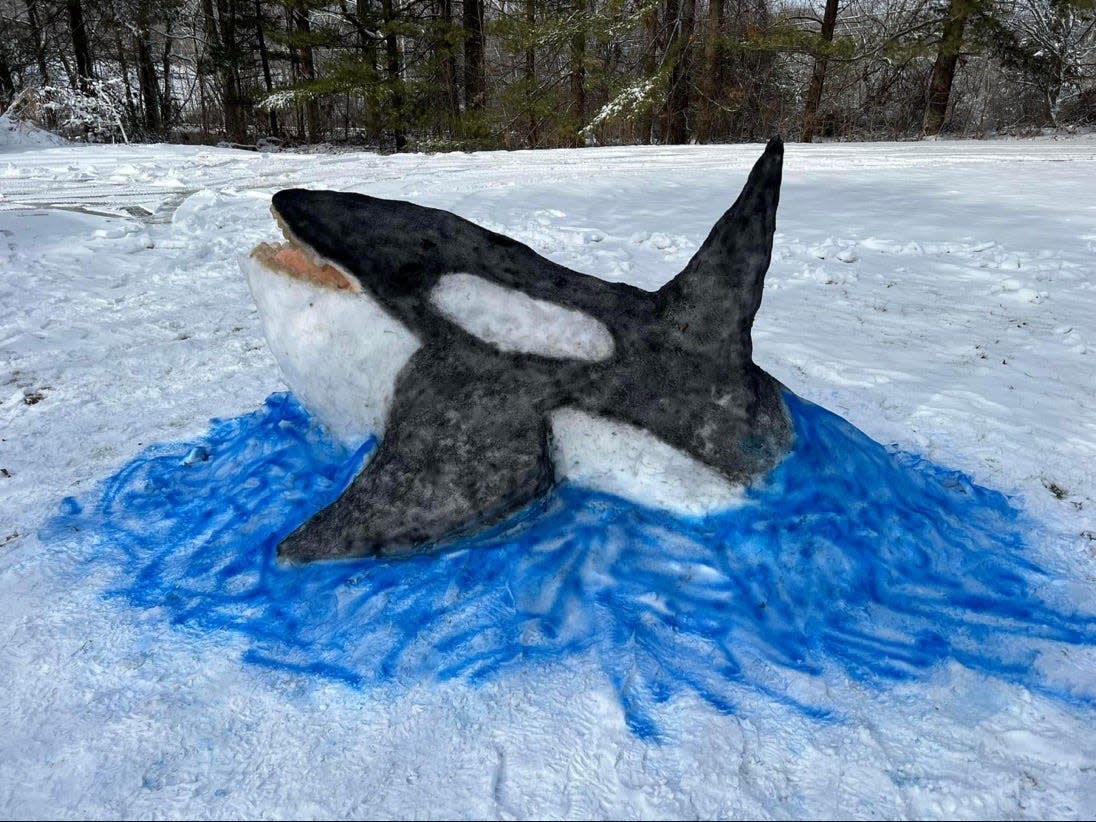 Jeffrey Kosloski's whale sculpture made of snow is on display in Lansing, Michigan on Jan. 13, 2024.