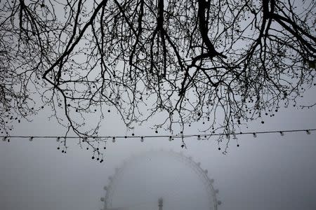 The London Eye is seen behind branches on a foggy morning in central London April 9, 2015. REUTERS/Stefan Wermuth