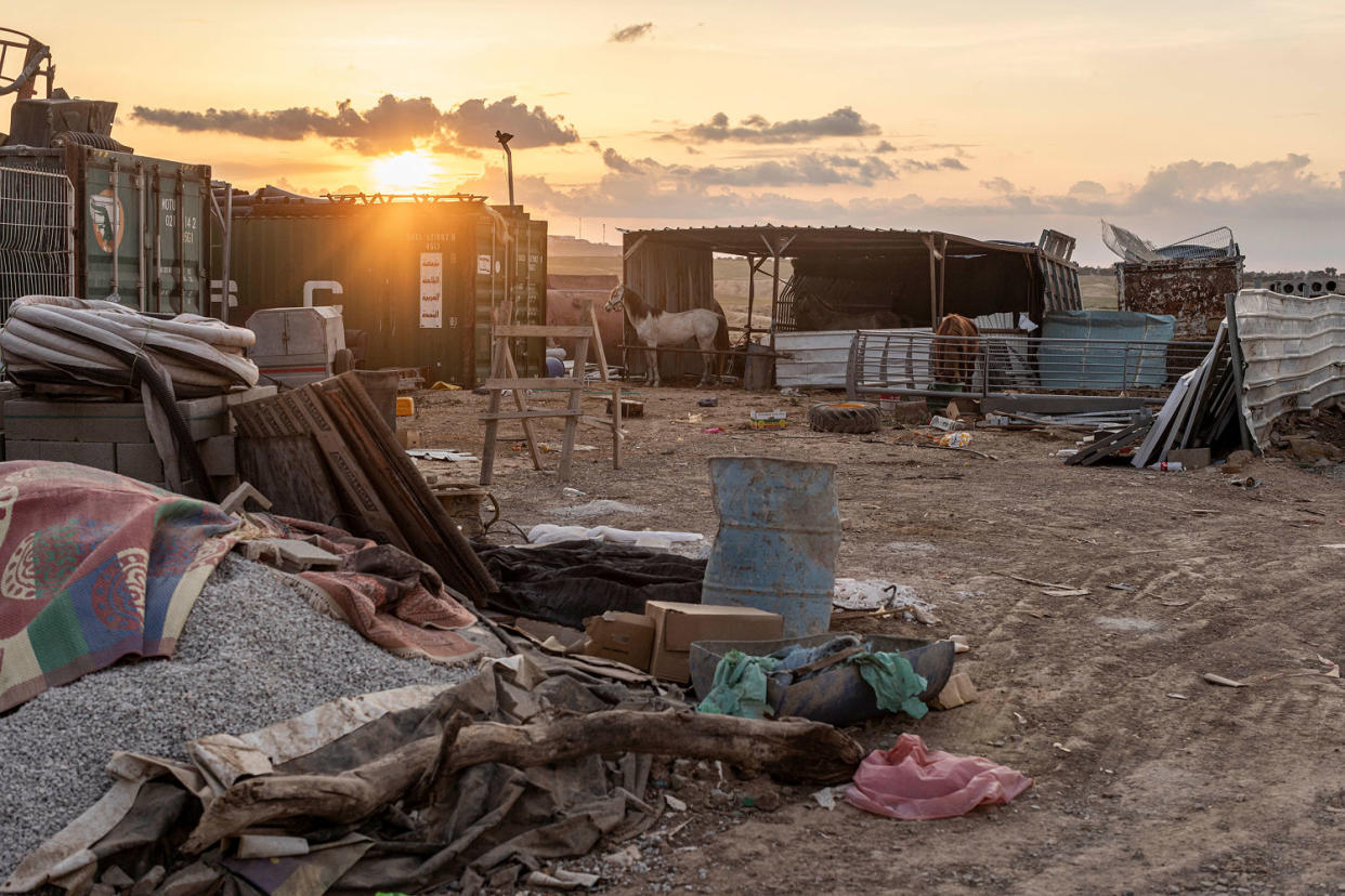 Horses in az-Zarnūg village near where Muhammad Abu Qwaider said the Israeli government destroyed two of his brothers' houses.  (Avishag Shaar-Yashuv for NBC News)