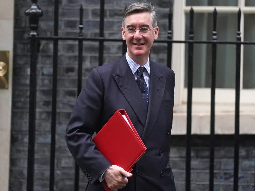 Jacob Rees-Mogg was appointed to Minister for Brexit Opportunities on Tuesday  (PA)