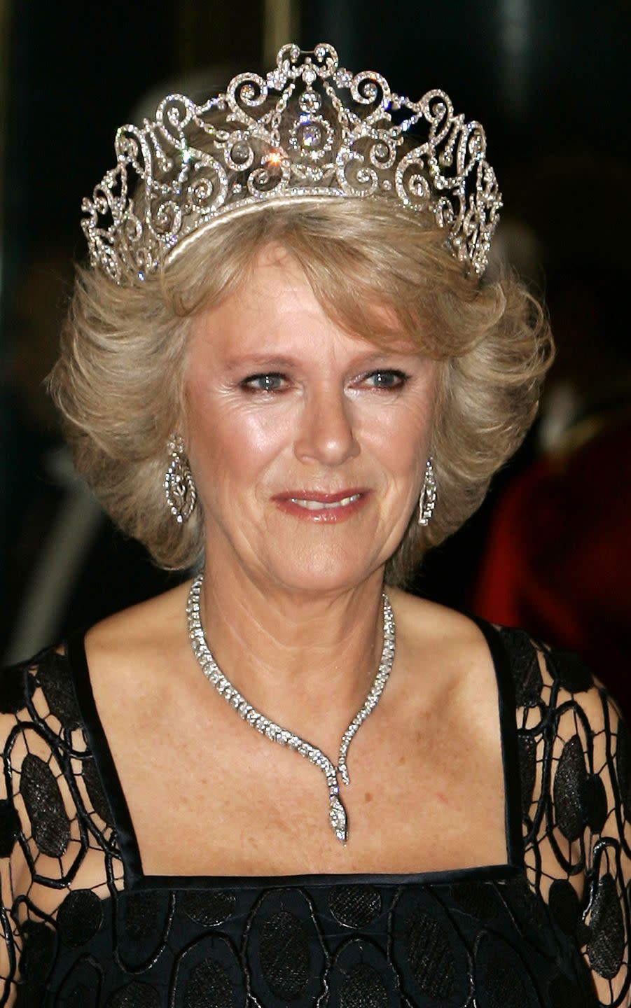 camilla queen consort