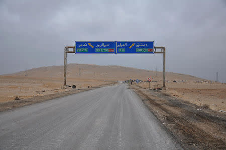 A road sign that shows the direction to the Syrian city of Palmyra is pictured on the edge of the city, March 2, 2017. SANA/Handout via REUTERS