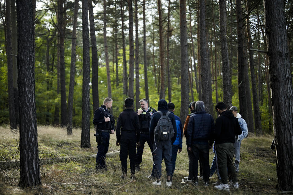 A Federal Police officer speaks into his radio as he and a colleague track down a group of migrants who have illegally crossed the border from Poland into Germany, while on patrol in a forest near Forst south east of Berlin, Germany, Wednesday, Oct. 11, 2023. (AP Photo/Markus Schreiber)