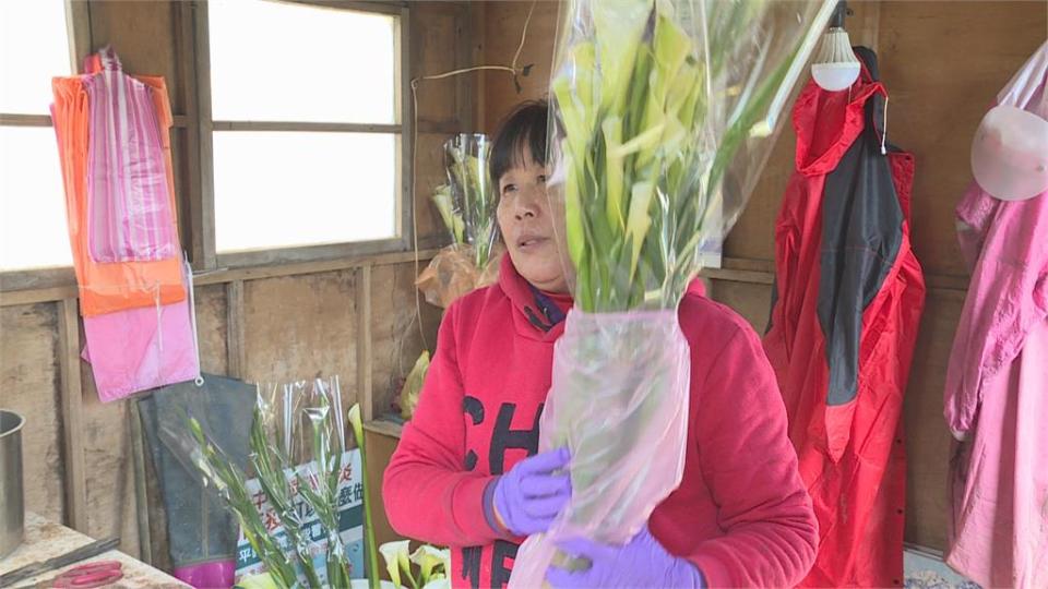 未來5天好天氣 中南部飆30度高溫 西半部空污明顯