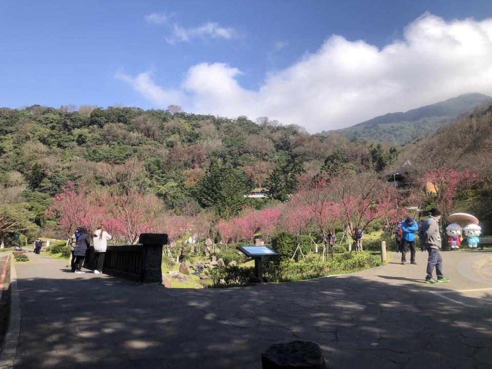 外傳內政部要推動在國家公園屋頂實施種電，引發環團與立委隱憂。今（9）日內政部澄清，將於國家公園各管理處的辦公室、遊客中心或相關廳舍的屋頂、停車場導入再生能源。並非要在國家公園內大規模「種電」。   （圖為陽明山國家公園）