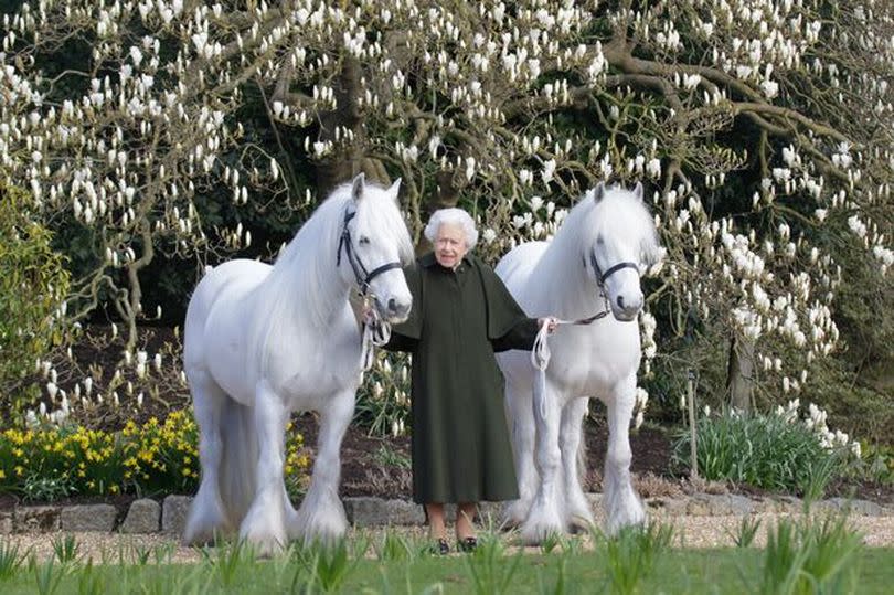 The Queen's love of horses is well-documented