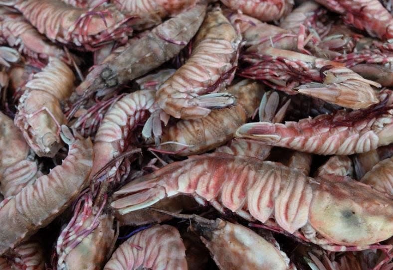 Rock shrimp have a distinct strong flavor very different than Gulf shrimp.