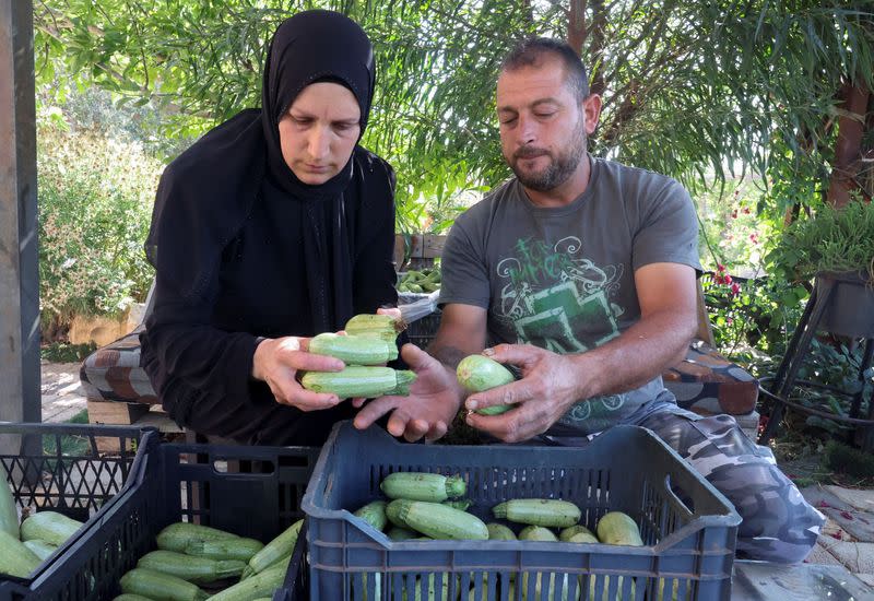 Qassem Shreim and his wife Khadija sort out zucchinis outside their home in Houla village