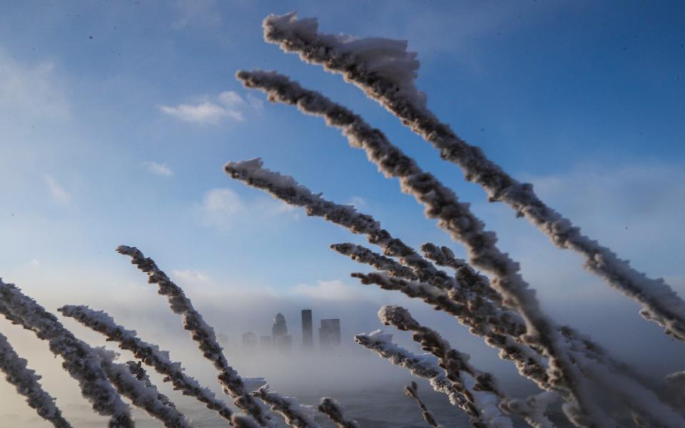 Frozen reeds bend to the 35 mph wind gusts with a windchill of -25 from the Ohio River Friday morning as subzero temperatures froze the Louisville area from Winter Storm Elliott.  Dec. 23, 2022 