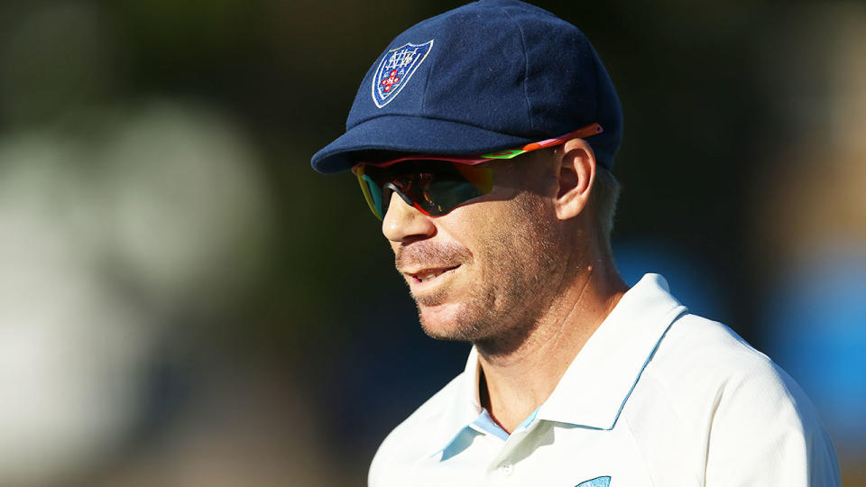 David Warner got back in the runs with a recent century for the NSW Blues. 