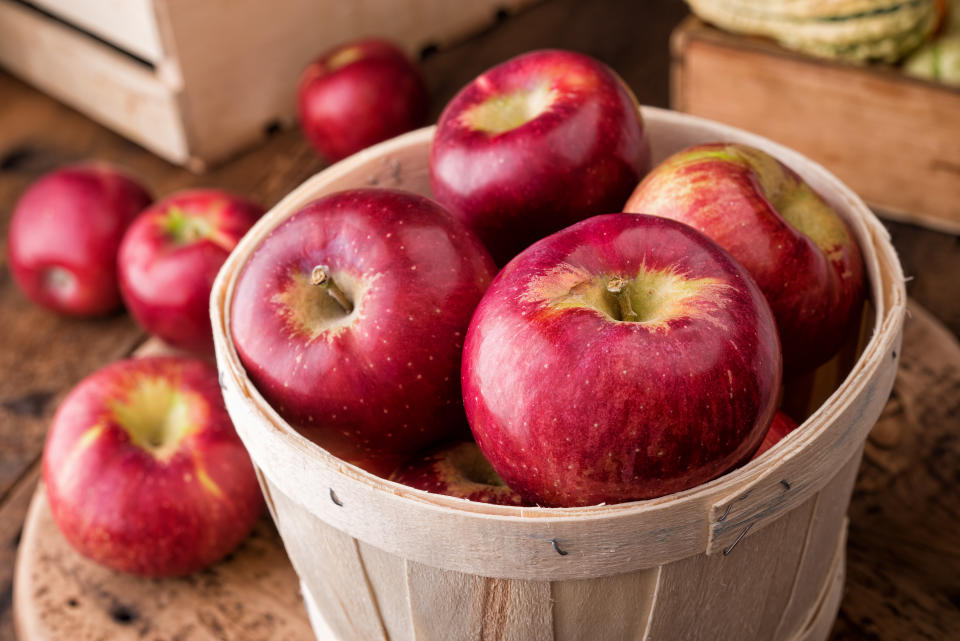 A five pound basket of freshly picked cortland apples at a farmer's market.