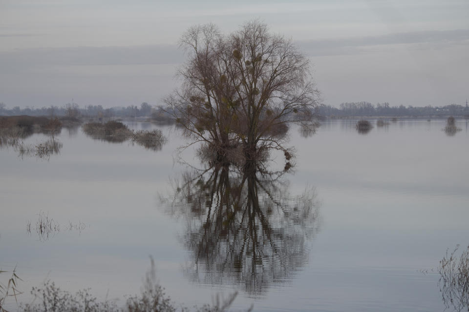 A view of a flooded area in the village of Demydiv, about 40 kilometers (24 miles) north of Kyiv, Ukraine, Thursday, Oct. 27, 2022. Because of the war, more than 6 million Ukrainians have limited or no access to clean water, and more than 280,000 hectares (nearly 692,000 acres) of forests have been destroyed or felled, according to the World Wildlife Fund. (AP Photo/Andrew Kravchenko)