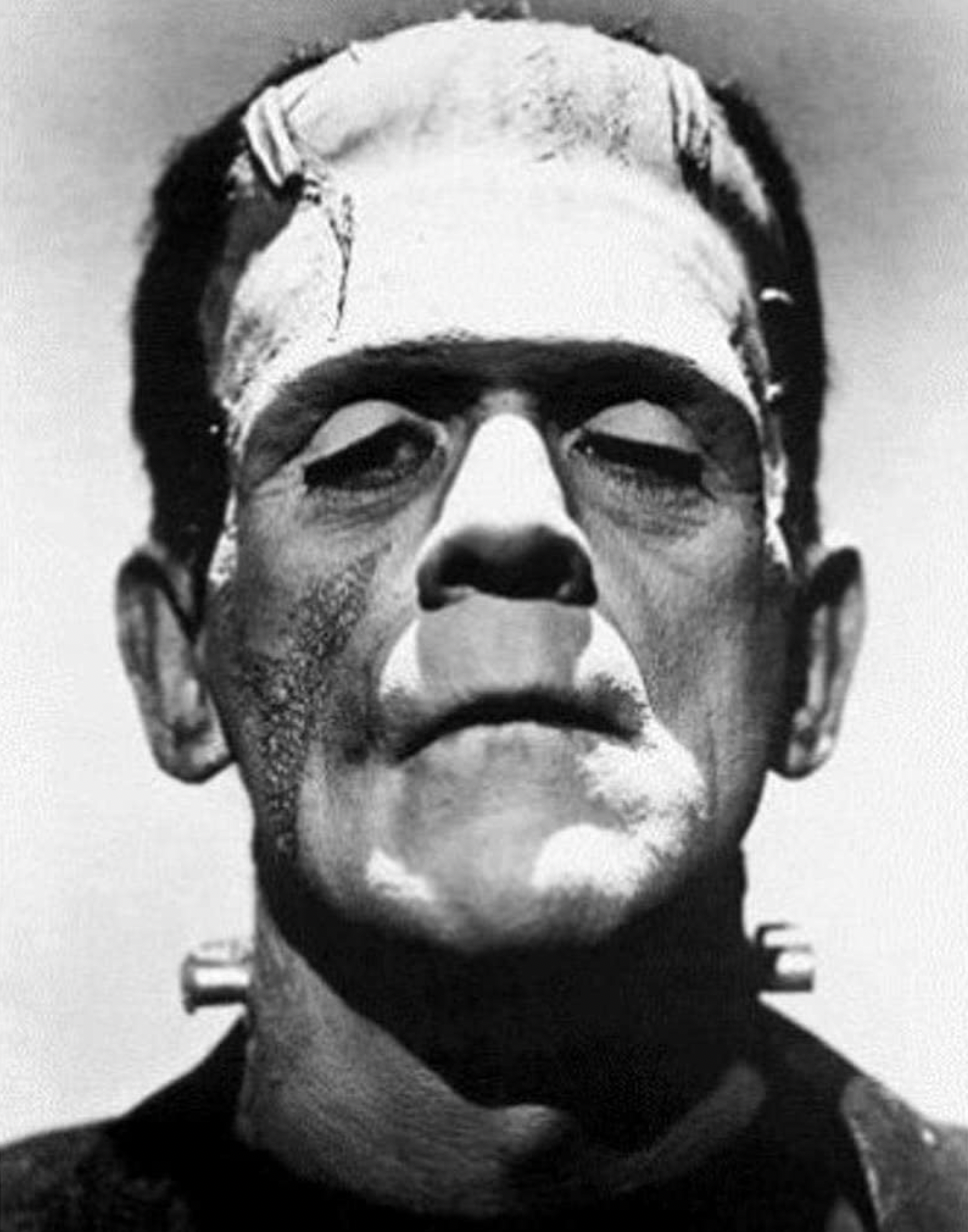 Frankenstein”