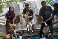 <p>“Mima,” center, jumps after winning the gold medal in the jumping competition during the Dog Olympic Games in Rio de Janeiro, Brazil, Sunday, Sept. 18, 2016. Owner of the dog park and organizer of the animal event Marco Antonio Toto says his goal is to socialize humans and their pets while celebrating sports. (AP Photo/Silvia Izquierdo) </p>