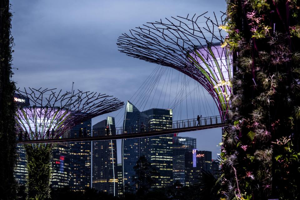 A visitor walks between the Supertree structures at Gardens by the Bay as dusk settles over the city skyline in Singapore.