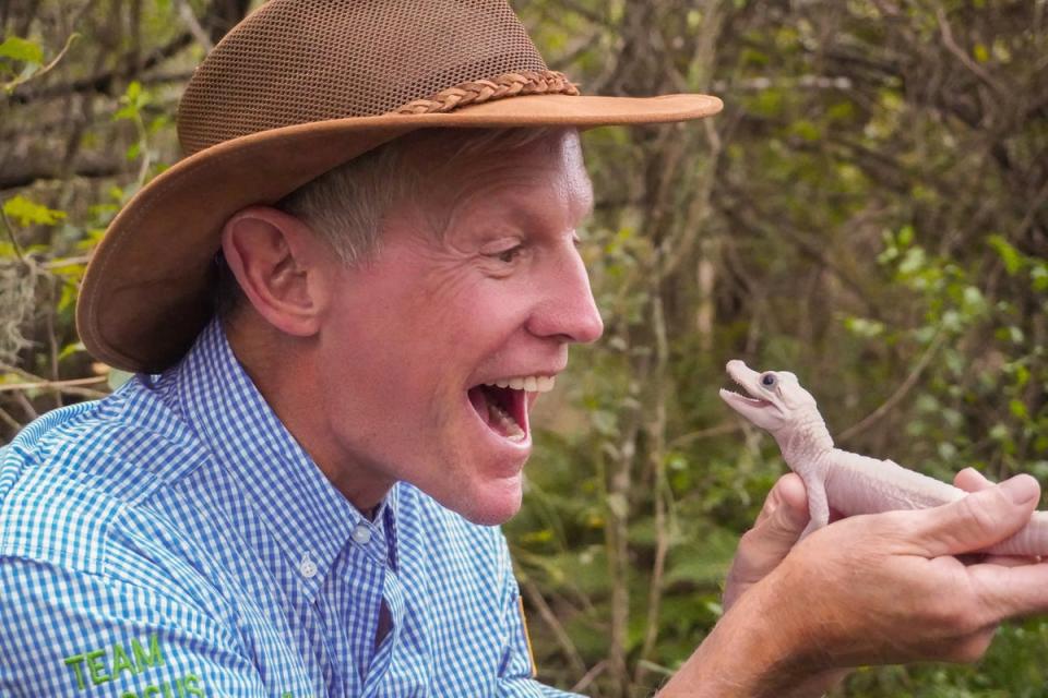 Gatorland’s CEO Mark McHugh smiling with the new baby (Gatorland/Ken Guzzetti)